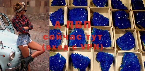стафф Богданович