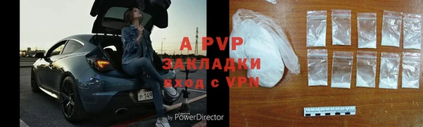 стафф Богданович