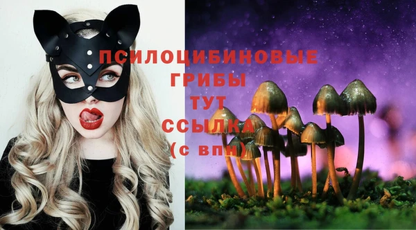 ECSTASY Бронницы