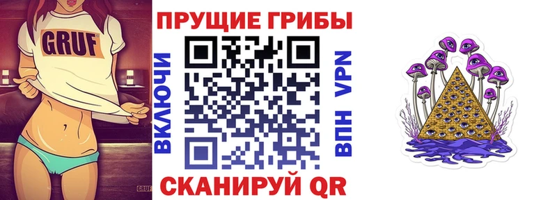 MEGA сайт  Кемерово  Галлюциногенные грибы Psilocybine cubensis 